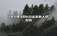 1971年4月6日出生的人命好吗 姻缘婚姻,八字事业人生发展