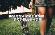 伤官格是不是最差的命格 罕见的五大贵人命格