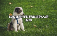 1999年4月1日出生的人命好吗 是什么命,五行缺什么