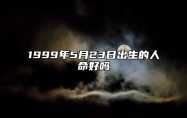 1999年5月23日出生的人命好吗 事业财运、感情婚姻、健康分析