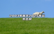 2003年属羊2025年运势怎样 2003年的羊明年运势如何