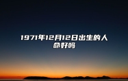 1971年12月12日出生的人命好吗 不同时辰生辰八字