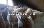 2003年属羊是什么命 2003年属羊是什么命五行属什么