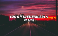 1995年12月1日出生的人命好吗 生辰八字五行解析