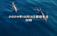 2024年10月3日是提车吉日吗 是不是的黄道吉日