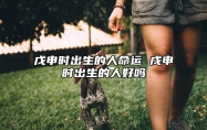 戊申时出生的人命运 戊申时出生的人好吗