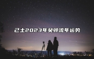 己土2023年癸卯流年运势 阳土随阳火阴土随阴火