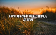 1971年10月19日出生的人命好吗 生辰八字、感情婚姻详解