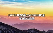 1975年属兔人2025年全年运势运程 75年属兔人2025年每月运势详解