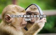 2025年属猴人全年运势如何 2025年属猴人的流年运势