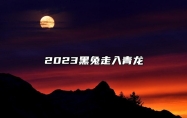 2023黑兔走入青龙 为什么说2023年是黑兔年