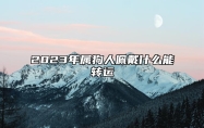 2023年属狗人佩戴什么能转运 戴什么首饰运气好呢