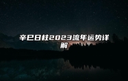 辛巳日柱2023流年运势详解 2023年辛巳日柱结婚好不好？