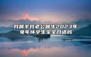 我属羊我老公属牛2023年兔年怀孕生宝宝合适吗？