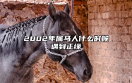 2002年属马人什么时候遇到正缘 2002年属马的什么时候交运