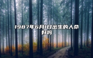 1987年6月1日出生的人命好吗 今日不同时辰生辰八字解析