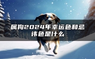 属狗2024年幸运色和忌讳色是什么 会影响什么