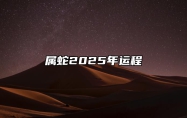 属蛇2025年运程 属蛇运势2025年运势详解