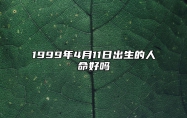 1999年4月11日出生的人命好吗 五行缺什么