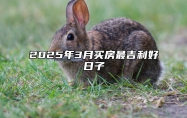 2025年3月买房最吉利好日子 适合买房吗？