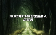 1995年11月9日出生的人命好吗 此日不同时辰八字运势分析