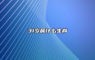 31岁属什么生肖 今年31岁属什么属相的