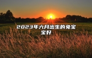 2023年六月出生的兔宝宝好 还是七月生的兔宝宝好