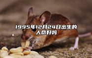 1995年12月24日出生的人命好吗 八字事业财运、感情婚姻