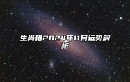 生肖猪2024年11月运势解析 生肖猪2024年11月运势及运程