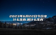 2023年6月22日今日冲什么生肖,属什么生肖 相刑 相合