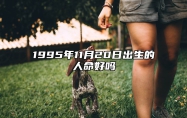 1995年11月20日出生的人命好吗 姻缘婚姻,八字事业人生发展