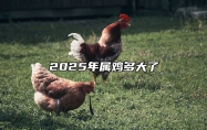 2025年属鸡多大了 2025年属鸡多大了虚岁