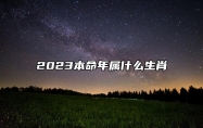 2023本命年属什么生肖 2023本命年兔年要注意什么