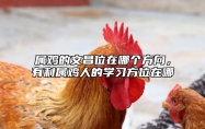 属鸡的文昌位在哪个方向，有利属鸡人的学习方位在哪 属鸡人的文昌贵人是什么属相