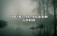 1987年12月29日出生的人命好吗 事业财运、感情婚姻、健康分析