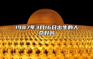 1987年3月16日出生的人命好吗 生辰八字查询