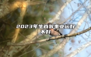 2023年生肖猴事业运好不好 属猴人在2023年创业会顺利吗