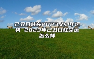 己丑日柱在2023癸卯年运势 2023年己丑日柱命运怎么样