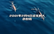 2001年2月4日出生的人命好吗 今日生辰八字查询