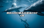 阴历4月扫墓吉日查询2025年 哪一天扫墓吉利