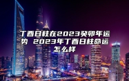 丁酉日柱在2023癸卯年运势 2023年丁酉日柱命运怎么样