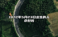 1972年5月23日出生的人命好吗 八字运势、婚姻、事业详解