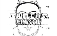 面相眉毛算命图解分析 面相眉毛算命图解分析图