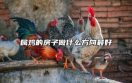 属鸡的房子做什么方向最好 属鸡房子风水