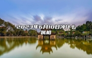 2023年6月10日冲什么属相 黄历生肖冲煞