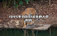 1995年9月1日出生的人命好吗 五行缺什么命运好不好