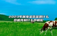 2023年属兔金箔金跟什么命相克和什么命相配