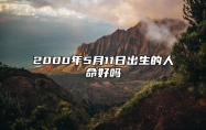 2000年5月11日出生的人命好吗 生辰八字分析五行缺什么