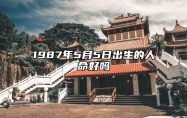 1987年5月5日出生的人命好吗 八字命运和运势走向