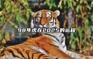 98年虎在2025的运程 98年属虎未来五年运势